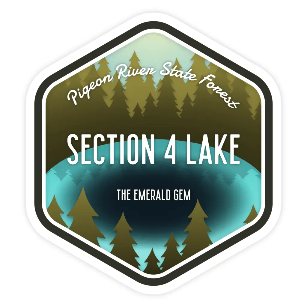 Section 4 Lake, Michigan - Graphic (2020)